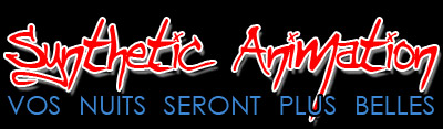 Animation DJ Discomobile Sonorisation Eclairage